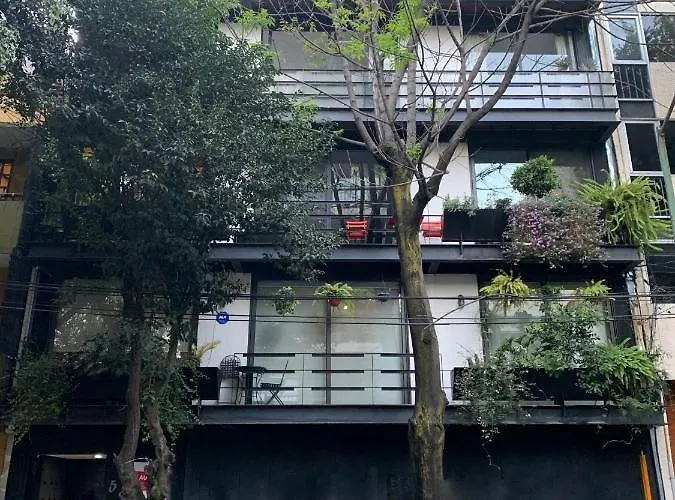 Amazing Garden House In Condesa México DF