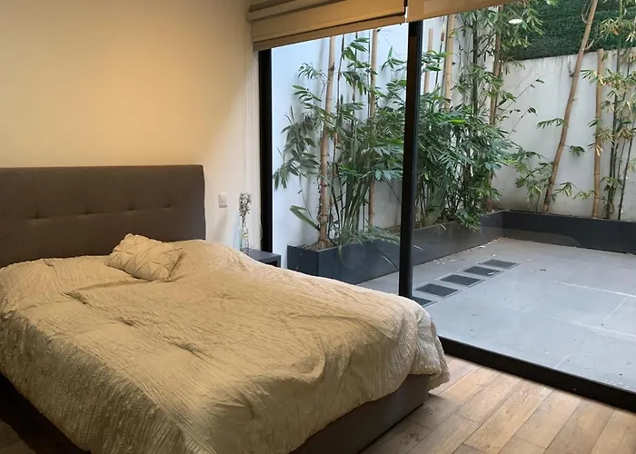 Amazing Garden House In Condesa